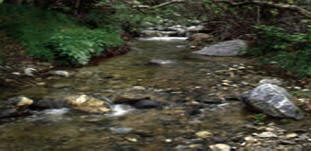 East Canyon