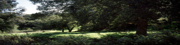 East Canyon