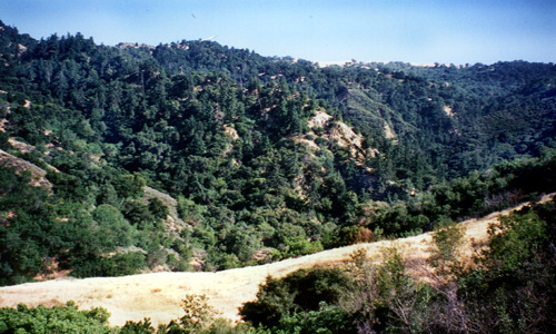 Rice Canyon