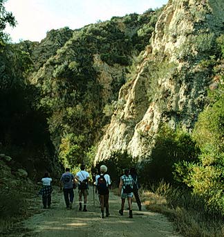 The Narrows  picture