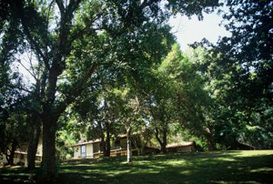Towsley Canyon picture